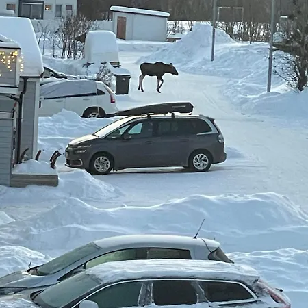 Studioleilighet * Tromsø