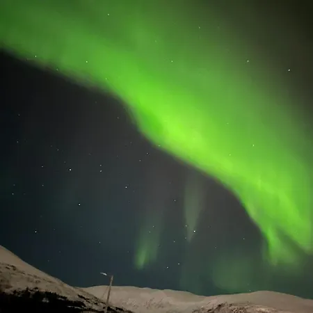 Apartamento Studioleilighet *