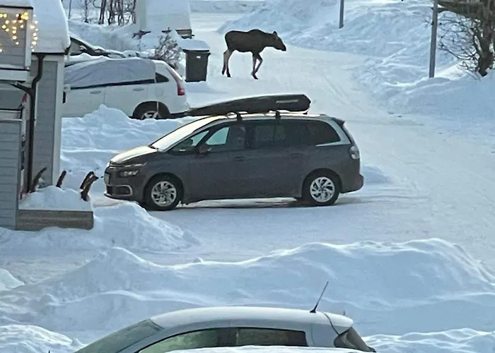 Studio Apartment Without Parking * Tromsø